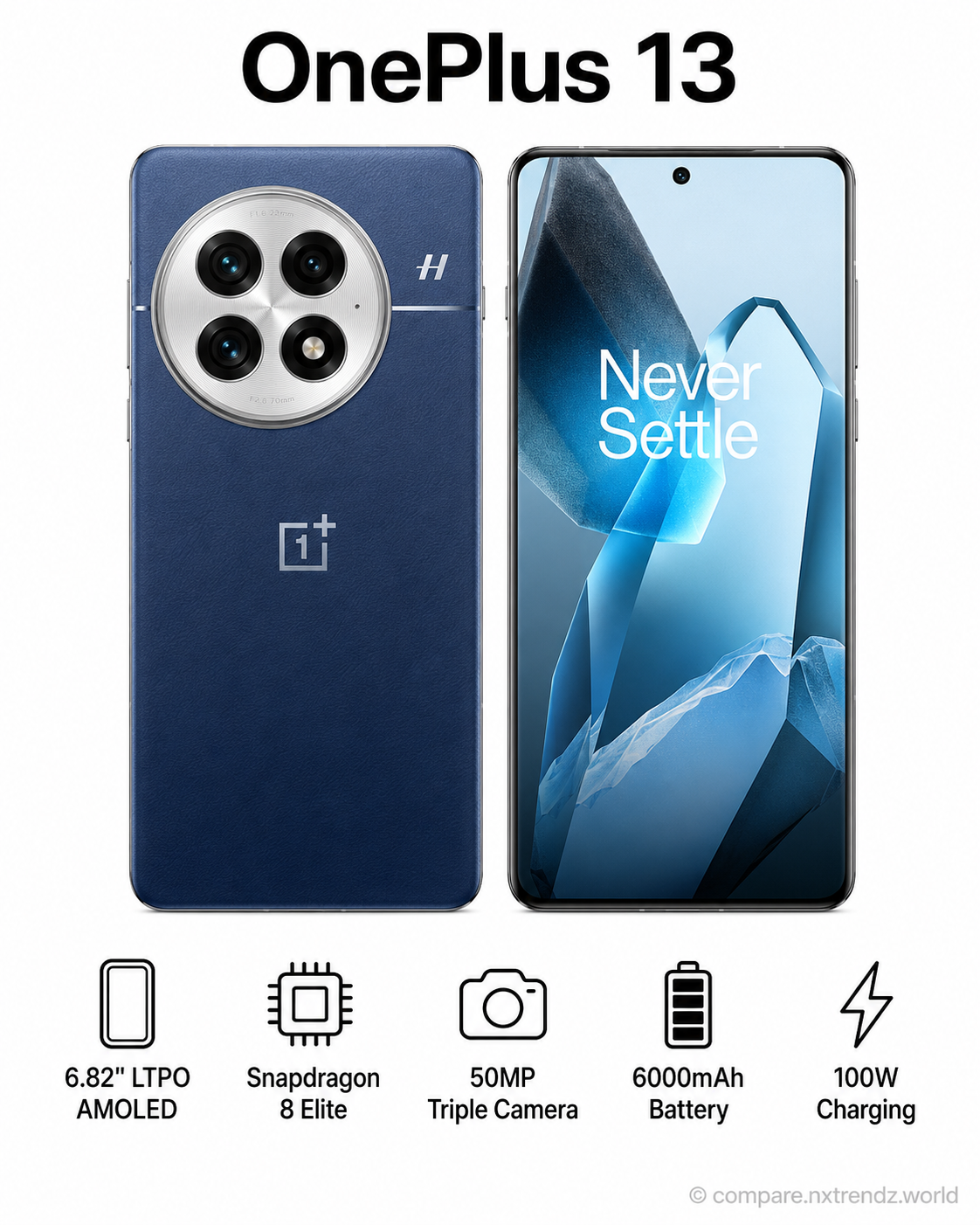 OnePlus 13